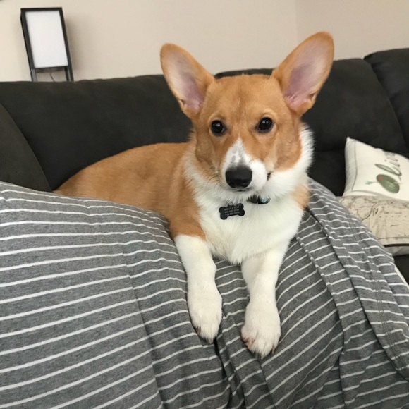 Closet Information - Picture 2 of 2